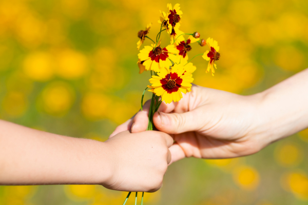 Eine Kinderhand überreicht einer Erwachsenenhand einen selbstgepflückten Strauss gelber Blumen